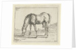grazing horse left by Jan Dasveldt