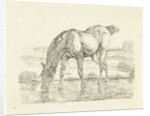 Drinking horse by Jan Dasveldt