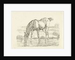 Drinking horse by Jan Dasveldt