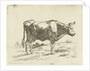 Standing cow by Jan Dasveldt