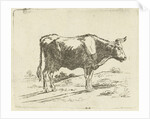 Standing cow by Jan Dasveldt