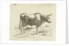 Standing cow by Jan Dasveldt