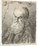 Bust of an old man with beard by Salomon Savery