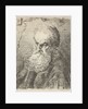 Bust of an old man with beard by Salomon Savery
