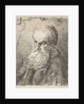 Bust of an old man with beard by Salomon Savery