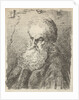 Bust of an old man with beard by Salomon Savery