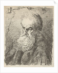 Bust of an old man with beard by Salomon Savery