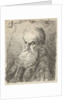 Bust of an old man with beard by Salomon Savery
