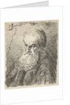 Bust of an old man with beard by Salomon Savery