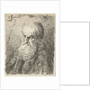 Bust of an old man with beard by Salomon Savery