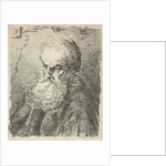 Bust of an old man with beard by Salomon Savery