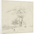 Study with man on trunk by Hermanus Fock