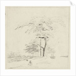 Study with man on trunk by Hermanus Fock