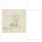 Study with man on trunk by Hermanus Fock