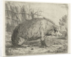 Sitting wild boar by Jacobus Cornelis Gaal
