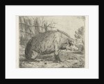 Sitting wild boar by Jacobus Cornelis Gaal