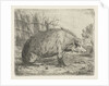Sitting wild boar by Jacobus Cornelis Gaal