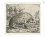 Sitting wild boar by Jacobus Cornelis Gaal