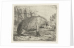 Sitting wild boar by Jacobus Cornelis Gaal
