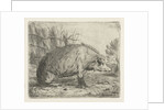 Sitting wild boar by Jacobus Cornelis Gaal