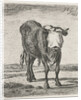 Blindfolded bull by Jacobus Cornelis Gaal