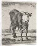 Blindfolded bull by Jacobus Cornelis Gaal