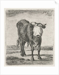 Blindfolded bull by Jacobus Cornelis Gaal