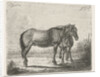 Two horses by Jacobus Cornelis Gaal