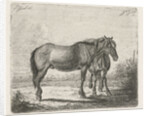 Two horses by Jacobus Cornelis Gaal