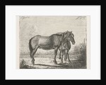 Two horses by Jacobus Cornelis Gaal