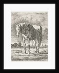 Single white horse by Jacobus Cornelis Gaal