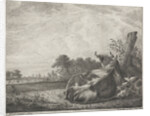 Spotted cow lying on a wooden post by Jacobus Cornelis Gaal