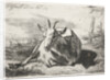 Lying goat, left by Jacobus Cornelis Gaal