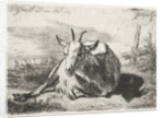 Lying goat, left by Jacobus Cornelis Gaal