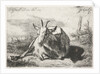 Lying goat, left by Jacobus Cornelis Gaal