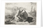 Lying goat, left by Jacobus Cornelis Gaal