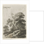 Trees on a hill by Hendrik Jan Hein