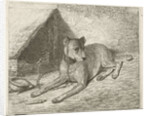 Dog on a chain with a doghouse by Johannes Mock