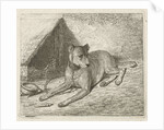 Dog on a chain with a doghouse by Johannes Mock