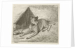 Dog on a chain with a doghouse by Johannes Mock