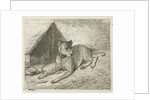 Dog on a chain with a doghouse by Johannes Mock