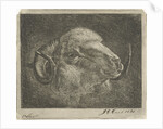 Head of a ram with twisted horns backward by Pieter Gaal