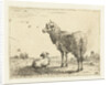 Ewe with lamb by Karel Dujardin