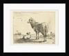 Ewe with lamb by Karel Dujardin