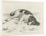 Sleeping dog by Hendrik Godart de Marée