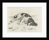 Sleeping dog by Hendrik Godart de Marée