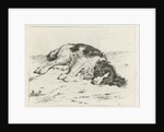 Sleeping dog by Hendrik Godart de Marée