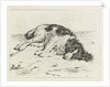 Sleeping dog by Hendrik Godart de Marée