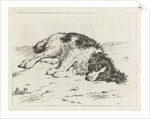 Sleeping dog by Hendrik Godart de Marée