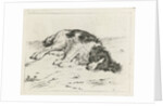 Sleeping dog by Hendrik Godart de Marée